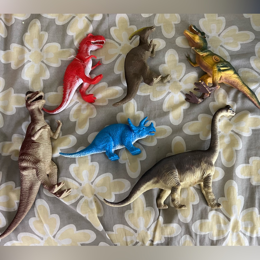 6 large Dino’s